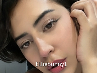 Elliebunny1