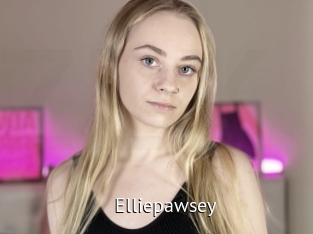 Elliepawsey