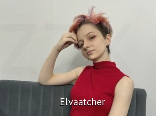 Elvaatcher