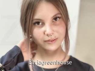 Elviagreenhouse