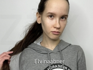 Elvinaabner