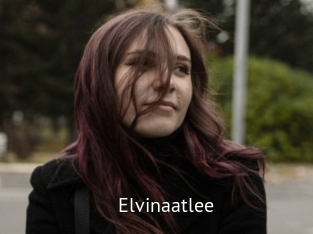 Elvinaatlee