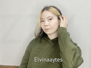 Elvinaaytes