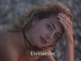 Elvinaesser