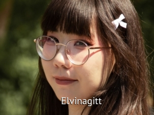 Elvinagitt