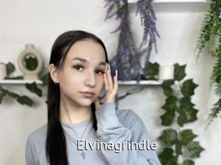 Elvinagrindle