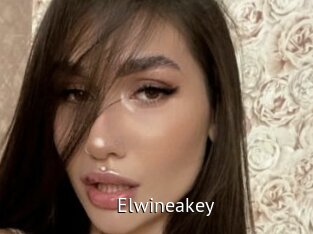 Elwineakey