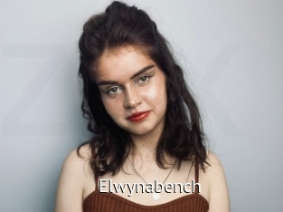 Elwynabench