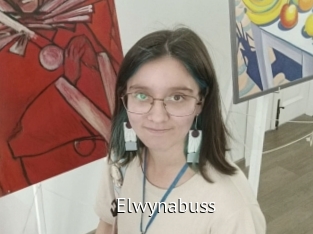 Elwynabuss