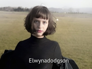 Elwynadodgson
