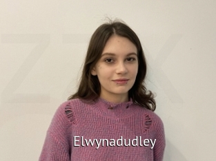 Elwynadudley