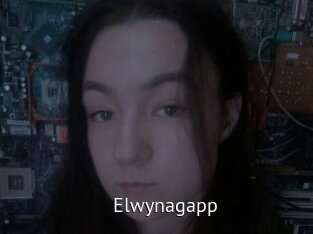 Elwynagapp