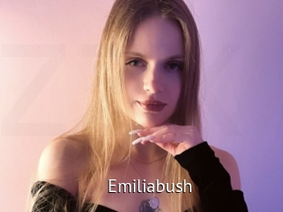 emiliabush Zizi X