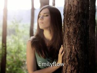 Emilyflow