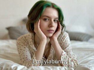 Emilylabunny