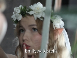 Emilywaldstein