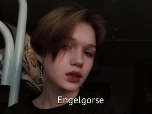 Engelgorse
