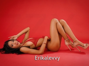 Erikalevvy