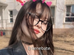 Erlenebate