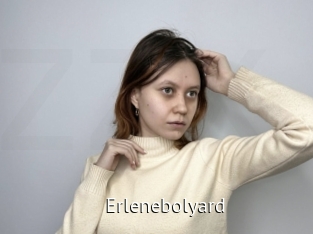 Erlenebolyard
