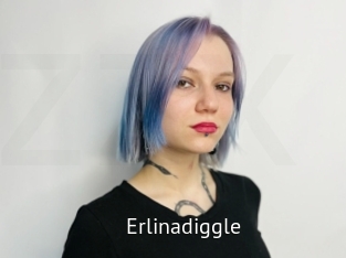 Erlinadiggle