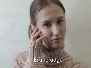 erlinefudge Zizi X