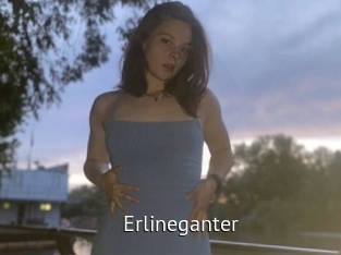 Erlineganter