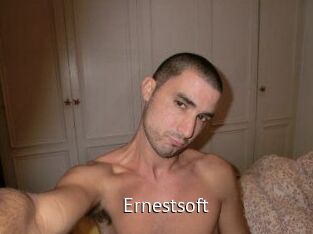 ernestsoft Zizi X