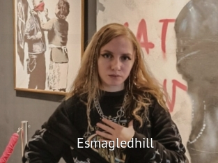 Esmagledhill