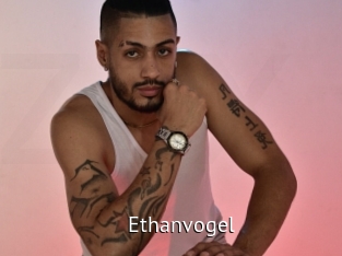 Ethanvogel