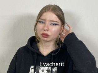 Evacherit