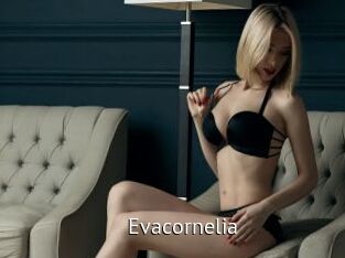 evacornelia Zizi X