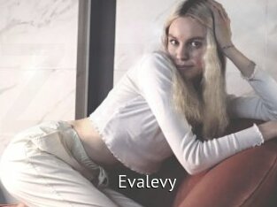 Evalevy