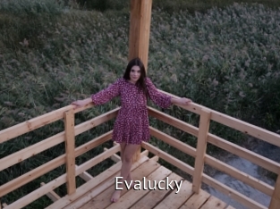 evalucky Zizi X