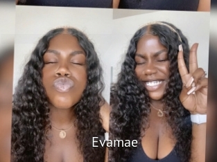 Evamae