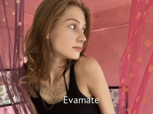 Evamate