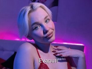 Evapurr