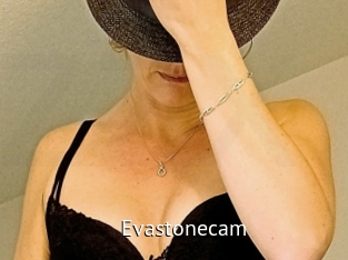 Evastonecam