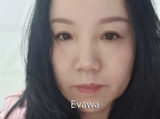 Evawa