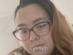 Eviedash