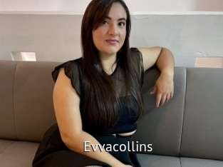 evvacollins Zizi X