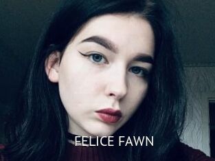 FELICE_FAWN