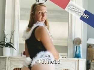 Feline18