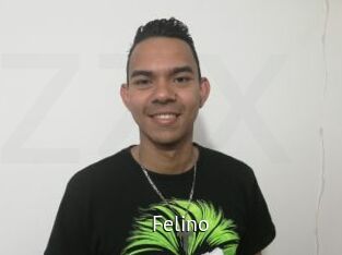 Felino