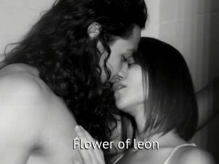 Flower_of_leon