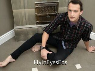 FlyInEyesEds