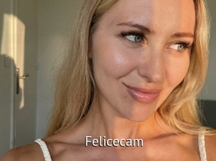 Felicecam
