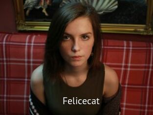 Felicecat