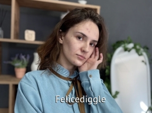 Felicediggle