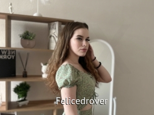Felicedrover